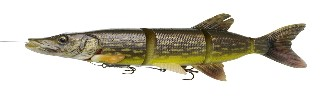 0001_Savage_Gear_4D_Line_Thru_Pike_37_cm__[dotted_pike].jpg